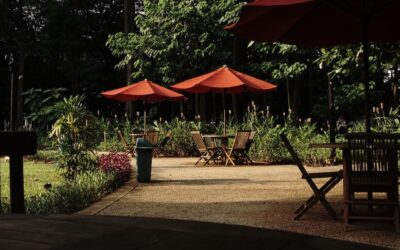 Comment choisir un bon parasol de jardin ?